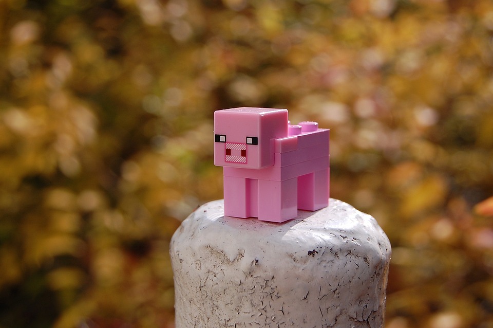 1685395488_minecraft-1275065_960_720.jpg