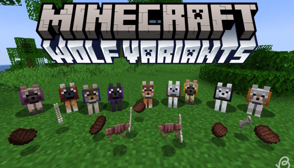 Wolf-variants-Minecraft-All-wolf-variants-in-Minecraft-and-steak-bones-and-wolf-armor-items-in-the-ground.jpg