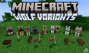 Wolf-variants-Minecraft-All-wolf-variants-in-Minecraft-and-steak-bones-and-wolf-armor-items-in-the-ground.jpg