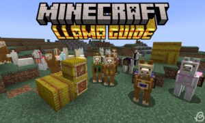 Llama-Minecraft-Various-llamas-hay-bales-wheat-and-a-lead-in-item-frames-in-Minecraft.jpg