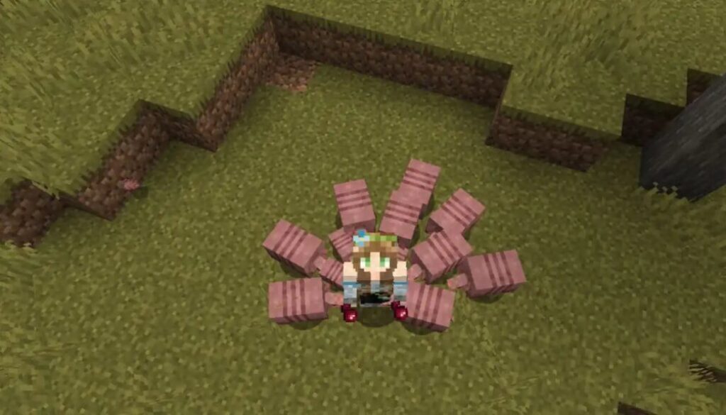 armadillos-following-player-with-spider-eyes-minecraft.jpg